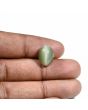 Quartz Cat's Eye (Lehsunia) Carat 7.46 