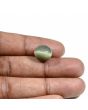 Quartz Cat's Eye (Lehsunia) Carat 9.52 