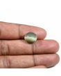 Quartz Cat's Eye (Lehsunia) Carat 7.34 