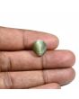 Quartz Cat's Eye (Lehsunia) Carat 7.34 