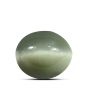 Quartz Cat's Eye (Lehsunia) Carat 9.2 