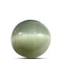 Quartz Cat's Eye (Lehsunia) Carat 8.3 
