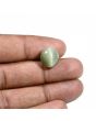 Quartz Cat's Eye (Lehsunia) Carat 8.3 