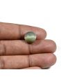 Quartz Cat's Eye (Lehsunia) Carat 7.75 