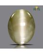 Chrysoberyl Cat`s Eye - 27.89 Carat 