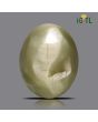Chrysoberyl Cat`s Eye - 27.89 Carat 