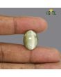 Chrysoberyl Cat`s Eye - 27.89 Carat 