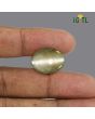 Chrysoberyl Cat`s Eye - 27.89 Carat 