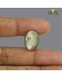 Chrysoberyl Cat`s Eye - 27.89 Carat 