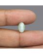 Chrysoberyl Cat`s Eye - 4.61 Carat 