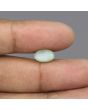 Chrysoberyl Cat`s Eye - 4.61 Carat 