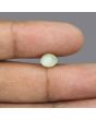 Chrysoberyl Cat`s Eye - 4.09 Carat 