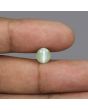 Chrysoberyl Cat`s Eye - 3.48 Carat 