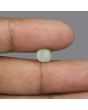 Chrysoberyl Cat`s Eye - 3.48 Carat 