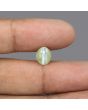 Chrysoberyl Cat`s Eye - 5.47 Carat 