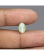Chrysoberyl Cat`s Eye - 5.64 Carat 