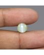 Chrysoberyl Cat`s Eye - 6.42 Carat 