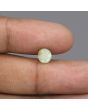 Chrysoberyl Cat`s Eye - 3.18 Carat 