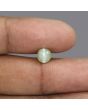 Chrysoberyl Cat`s Eye - 3.14 Carat 