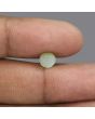 Chrysoberyl Cat`s Eye - 3.14 Carat 
