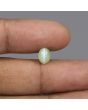 Chrysoberyl Cat`s Eye - 2.83 Carat 