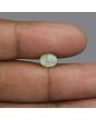 Chrysoberyl Cat`s Eye - 2.83 Carat 