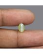 Chrysoberyl Cat`s Eye - 2.58 Carat 