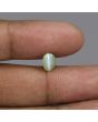 Chrysoberyl Cat`s Eye - 2.52 Carat 