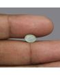 Chrysoberyl Cat`s Eye - 2.52 Carat 
