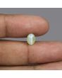 Chrysoberyl Cat`s Eye - 2.93 Carat 