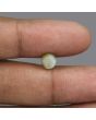 Chrysoberyl Cat`s Eye - 3.08 Carat 