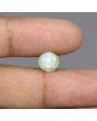 Chrysoberyl Cat`s Eye - 3.74 Carat 