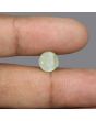 Chrysoberyl Cat`s Eye - 3.74 Carat 