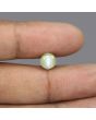 Chrysoberyl Cat`s Eye - 3.92 Carat 