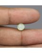 Chrysoberyl Cat`s Eye - 3.92 Carat 