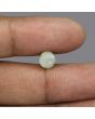 Chrysoberyl Cat`s Eye - 3.67 Carat 
