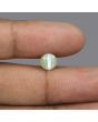 Chrysoberyl Cat`s Eye - 3.67 Carat 