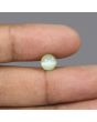 Chrysoberyl Cat`s Eye - 4.03 Carat 