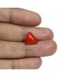Red Coral (Moonga) - 5.34 Carat 
