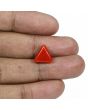 Red Coral (Moonga) - 5.34 Carat 