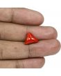 Red Coral (Moonga) - 5.34 Carat 