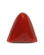 Red Coral (Moonga) - 5.16 Carat 