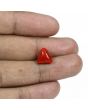 Red Coral (Moonga) - 5.16 Carat 