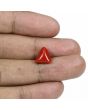 Red Coral (Moonga) - 5.16 Carat 