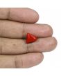 Red Coral (Moonga) - 5.16 Carat 