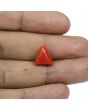 Red Coral (Moonga) - 5.76 Carat 