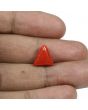 Red Coral (Moonga) - 5.76 Carat 