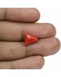 Red Coral (Moonga) - 5.76 Carat 