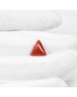Red Coral (Moonga) - 4.9 Carat 