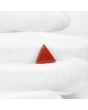 Red Coral (Moonga) - 4.9 Carat 